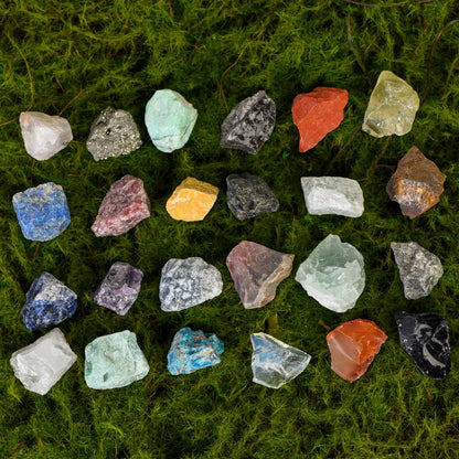 Bring Nature Home — 24-Day Natural Crystal Blind Box (Raw, Tumbled & Carved Specimens)